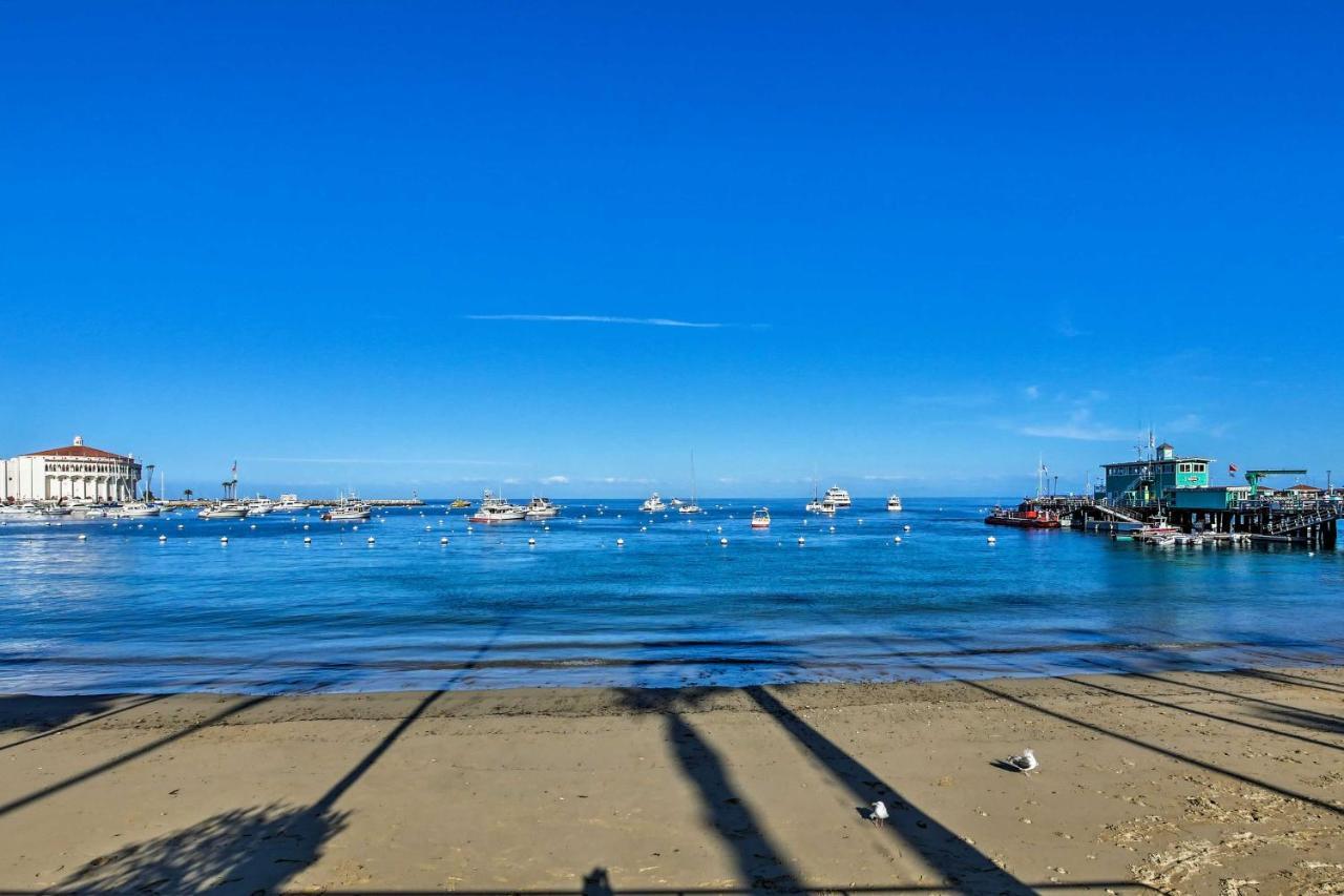 Tropical Island Escape With Deck, Walk To Avalon Bay Βίλα Εξωτερικό φωτογραφία